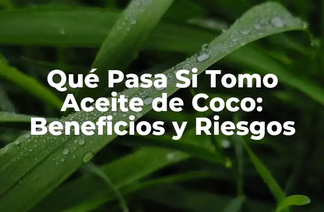 Qué Pasa Si Tomo Aceite de Coco: Beneficios y Riesgos 2 Los Beneficios para la Salud del Aceite de Coco