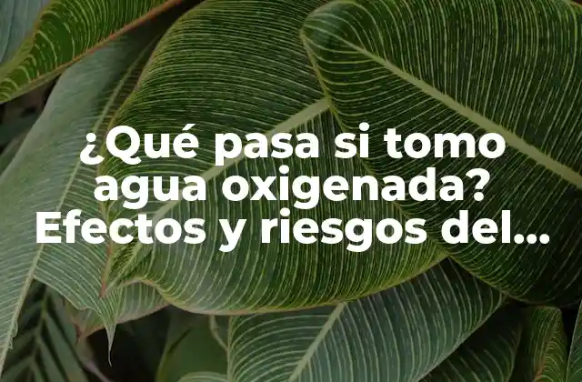 ¿qué Pasa Si Tomo Agua Oxigenada? Efectos y Riesgos Del Consumo