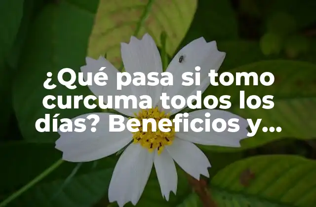 ¿qué Pasa Si Tomo Curcuma Todos los Días? Beneficios y Riesgos