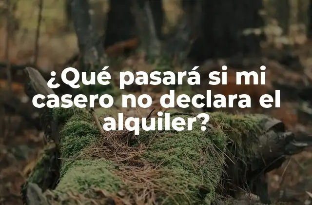¿qué Pasará Si Mi Casero No Declara el Alquiler?