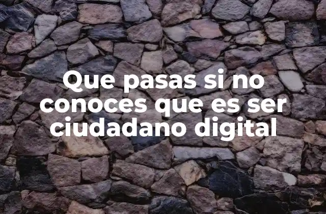 Que Pasas Si No Conoces que es Ser Ciudadano Digital