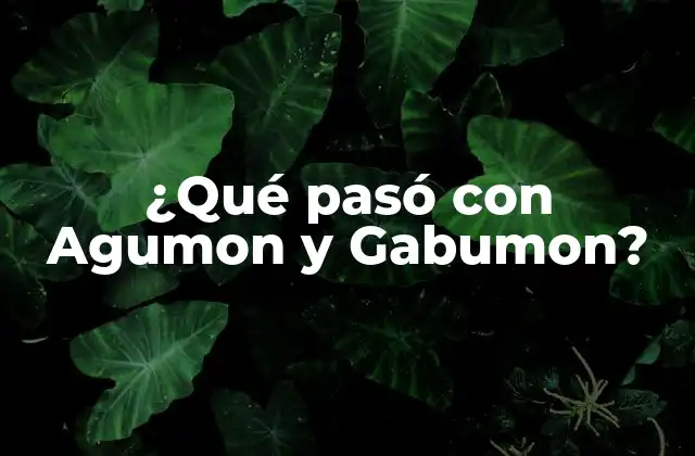 ¿qué Pasó con Agumon y Gabumon?