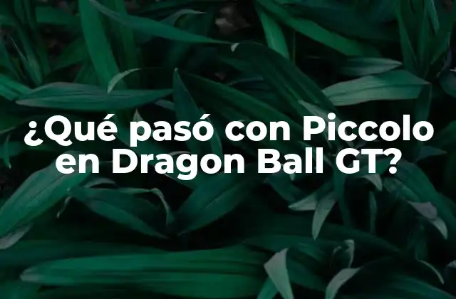 ¿qué Pasó con Piccolo en Dragon Ball Gt? 2 La desaparición de Piccolo