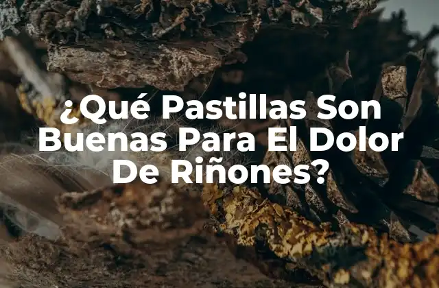 Causas Comunes Del Dolor De Riñones