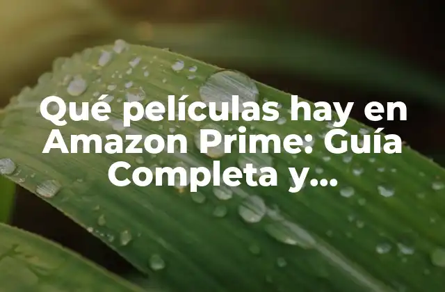 Qué Películas Hay en Amazon Prime: Guía Completa y Actualizada