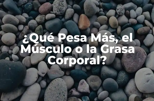 ¿qué Pesa Más, el Músculo o la Grasa Corporal?