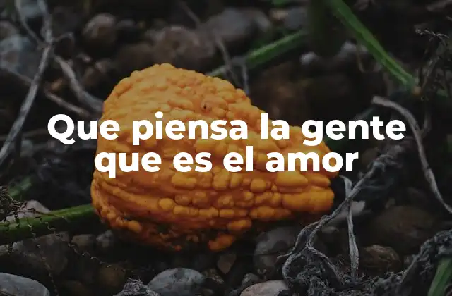 Que Piensa la Gente que es el Amor