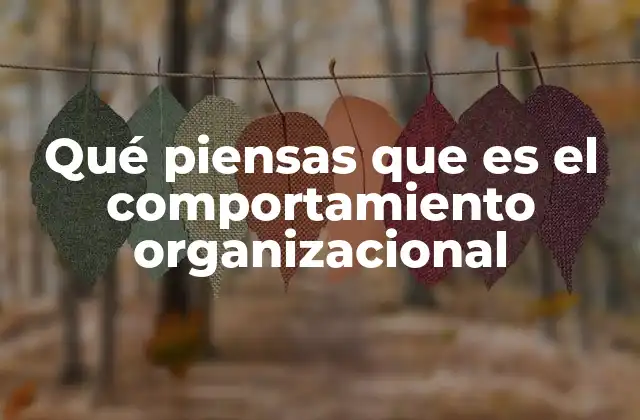 Qué Piensas que es el Comportamiento Organizacional