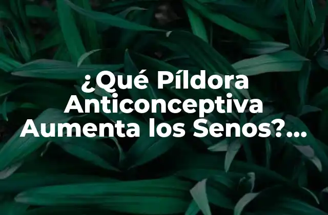 ¿qué Píldora Anticonceptiva Aumenta los Senos? Guía Completa