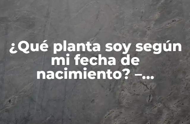 ¿qué Planta Soy según Mi Fecha de Nacimiento? – Descubre Tu Signo Vegetal