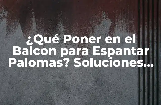 ¿qué Poner en el Balcon para Espantar Palomas? Soluciones Efectivas
