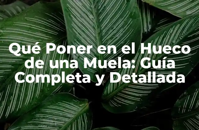 Qué Poner en el Hueco de una Muela: Guía Completa y Detallada