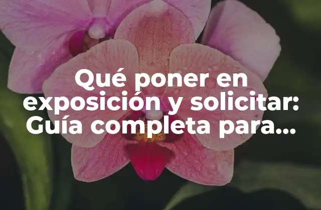 Qué Poner en Exposición y Solicitar: Guía Completa para una Solicitud Efectiva