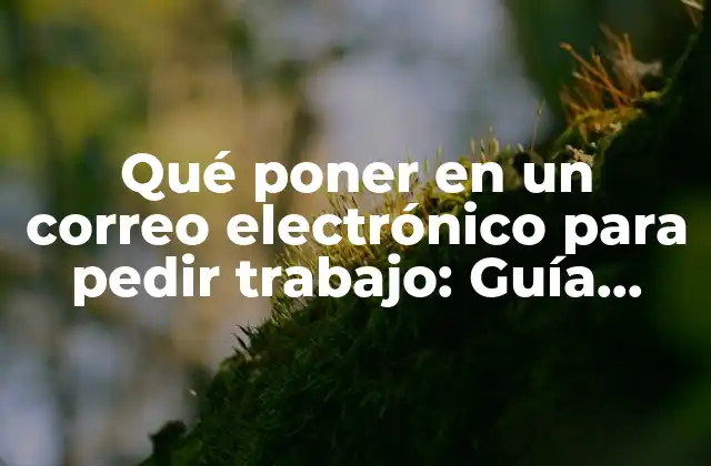 Qué Poner en un Correo Electrónico para Pedir Trabajo: Guía Completa