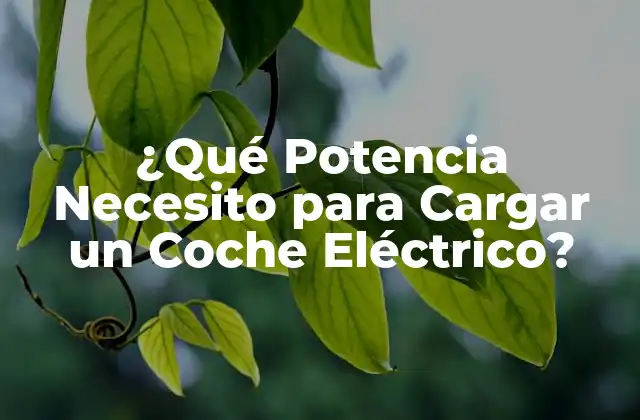 Tipos de Carga de Coches Eléctricos