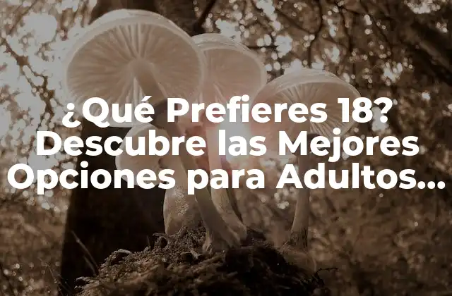 ¿qué Prefieres 18? Descubre las Mejores Opciones para Adultos Jóvenes