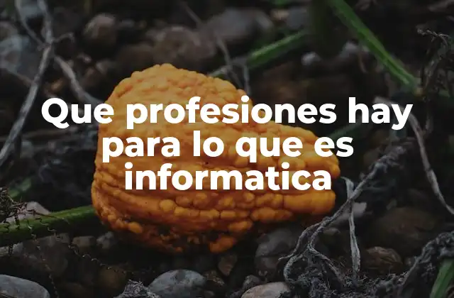 Que Profesiones Hay para Lo que es Informatica