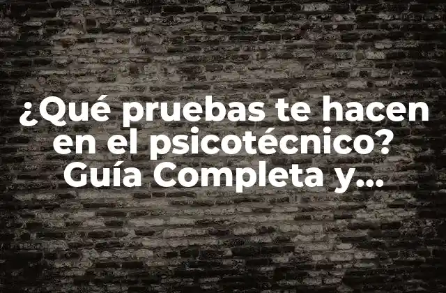 ¿qué Pruebas Te Hacen en el Psicotécnico? Guía Completa y Actualizada