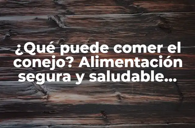 ¿qué Puede Comer el Conejo? Alimentación Segura y Saludable para Conejos