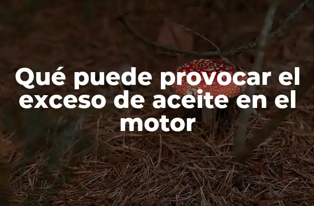 Qué Puede Provocar el Exceso de Aceite en el Motor