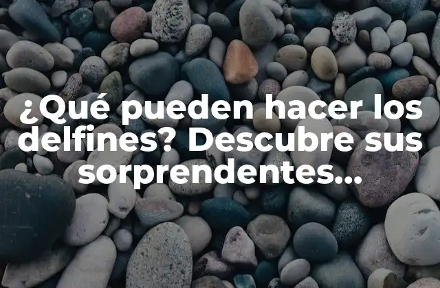 ¿qué Pueden Hacer los Delfines? Descubre Sus Sorprendentes Habilidades y Comportamientos