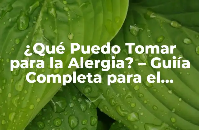 ¿qué Puedo Tomar para la Alergia? – Guiía Completa para el Tratamiento de Alergias
