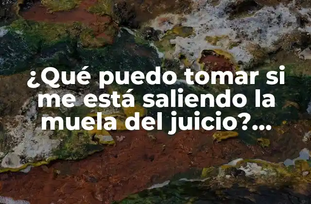 ¿qué Puedo Tomar Si Me Está Saliendo la Muela Del Juicio? Remédios Naturales y Consejos