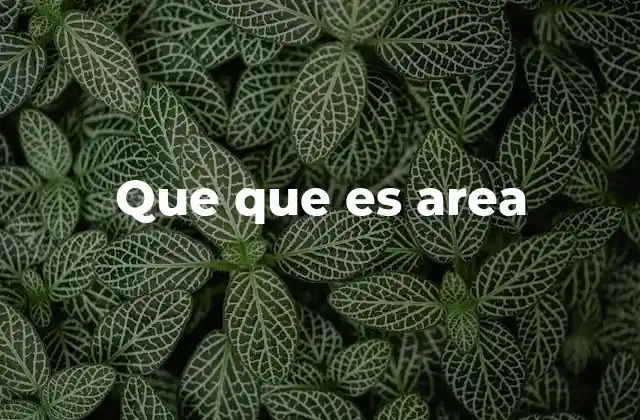 Que que es Area 2 La medición de superficies en la vida cotidiana