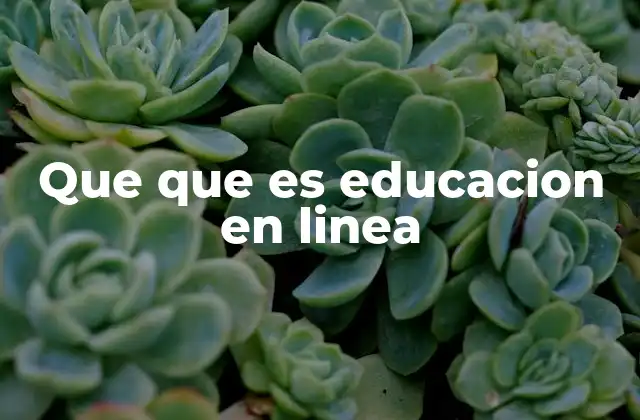 Que que es Educacion en Linea