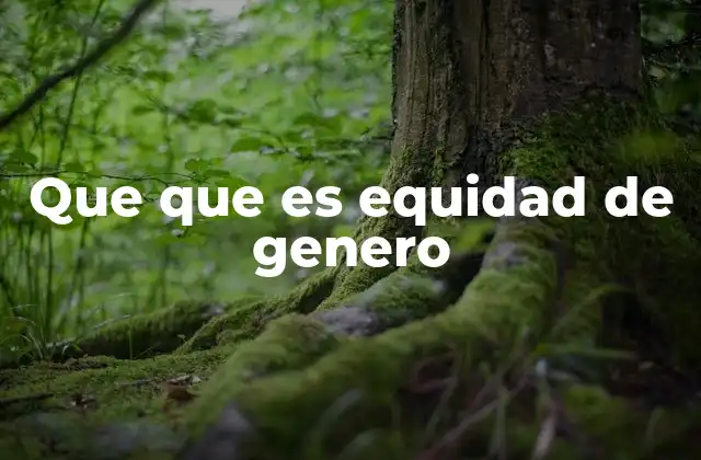 Que que es Equidad de Genero