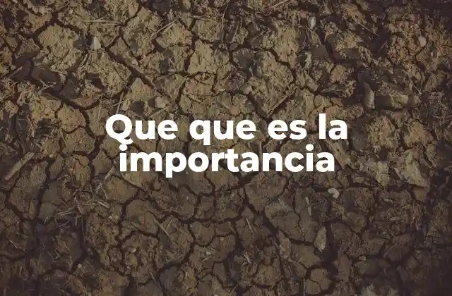 Que que es la Importancia