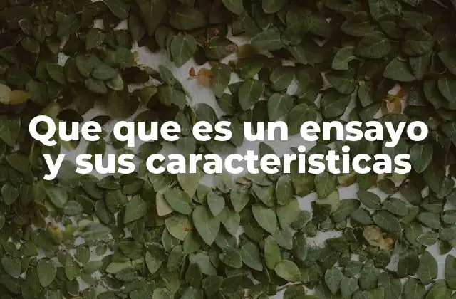 Que que es un Ensayo y Sus Caracteristicas