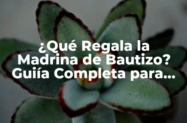 ¿qué Regala la Madrina de Bautizo? Guiía Completa para Madrinas de Bautizo