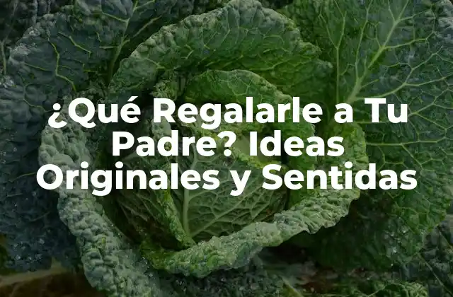 ¿qué Regalarle a Tu Padre? Ideas Originales y Sentidas