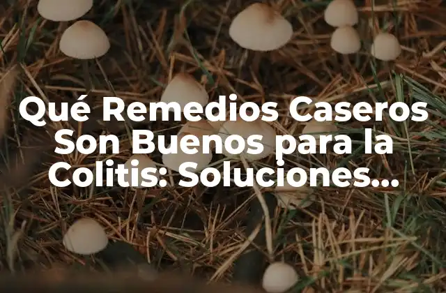 Qué Remedios Caseros Son Buenos para la Colitis: Soluciones Naturales y Efectivas 2 Causas y Síntomas de la Colitis