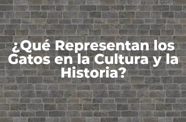 ¿qué Representan los Gatos en la Cultura y la Historia?