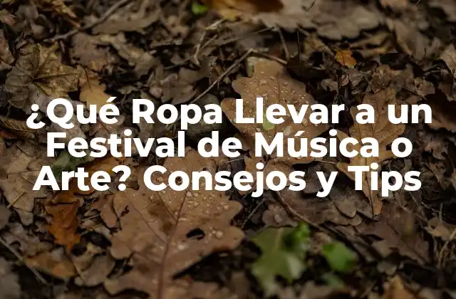 ¿qué Ropa Llevar a un Festival de Música o Arte? Consejos y Tips