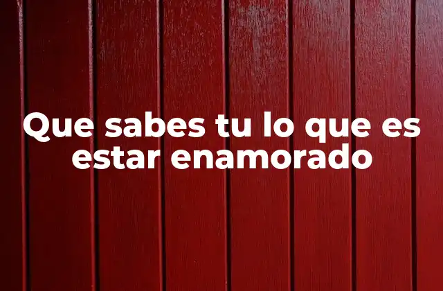 Que Sabes Tu Lo que es Estar Enamorado