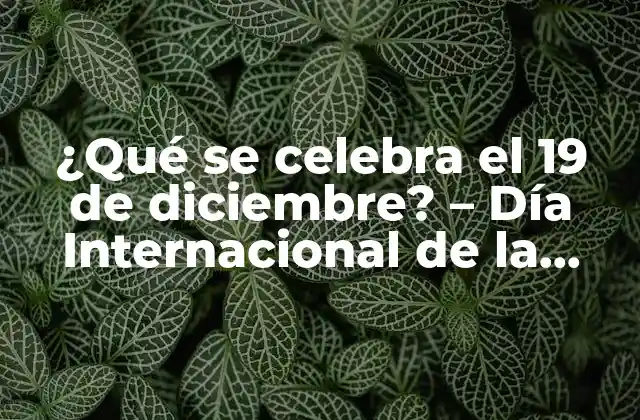 ¿qué Se Celebra el 19 de Diciembre? – Día Internacional de la Lucha contra la Corrupción