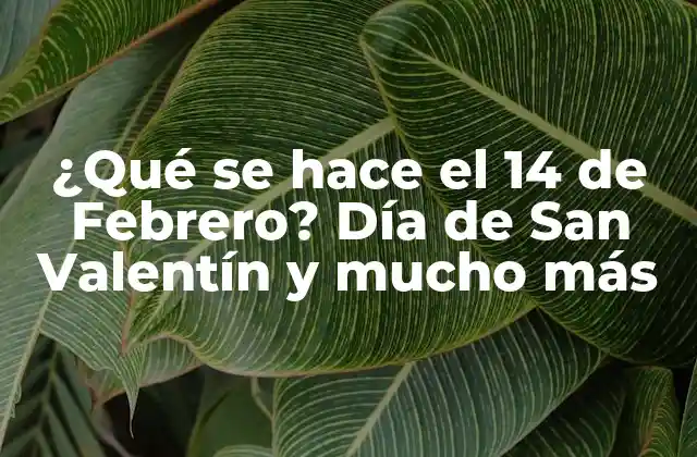 ¿qué Se Hace el 14 de Febrero? Día de San Valentín y Mucho Más