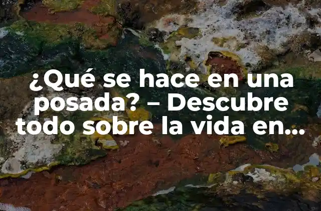 ¿qué Se Hace en una Posada? – Descubre Todo sobre la Vida en una Posada