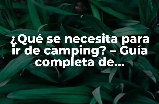 Equipo de acampada - La lista de cosas que se necesita para ir de camping