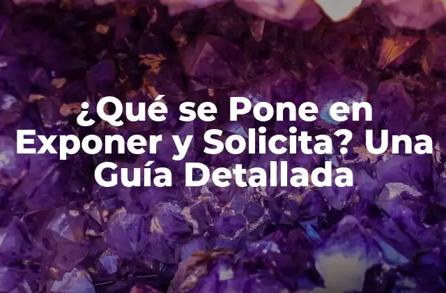 ¿qué Se Pone en Exponer y Solicita? una Guía Detallada