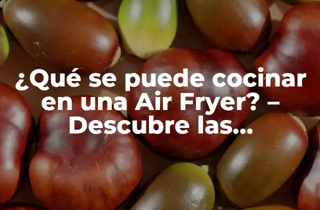¿qué Se Puede Cocinar en una Air Fryer? – Descubre las Sorprendentes Opciones