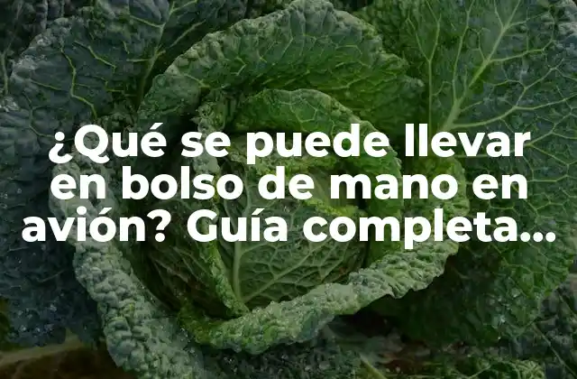 ¿qué Se Puede Llevar en Bolso de Mano en Avión? Guía Completa para Viajeros