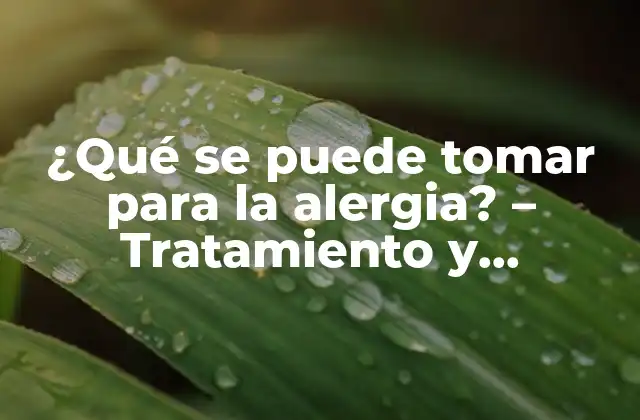¿qué Se Puede Tomar para la Alergia? – Tratamiento y Remedios Naturales