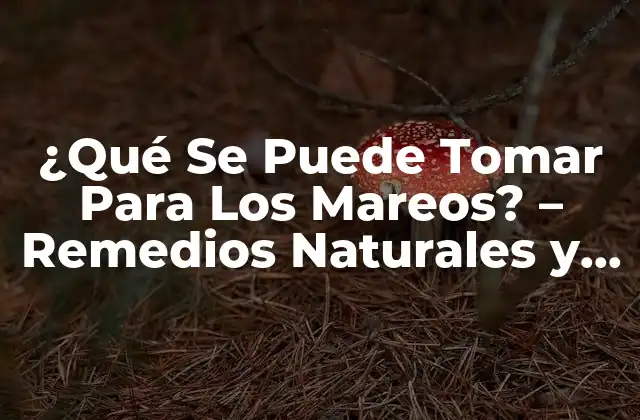 ¿qué Se Puede Tomar para los Mareos? – Remedios Naturales y Médicos