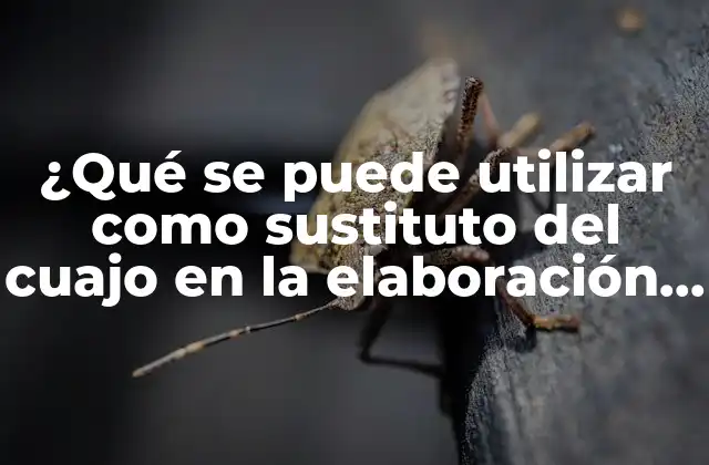 ¿qué Se Puede Utilizar como Sustituto Del Cuajo en la Elaboración de Quesos?