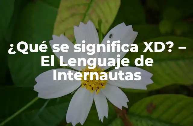 ¿qué Se Significa Xd? – el Lenguaje de Internautas