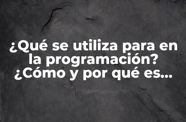 ¿qué Se Utiliza para en la Programación? ¿cómo y por Qué es Importante?